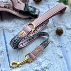 Bella's Jumper Dog Collar + Tag Holder