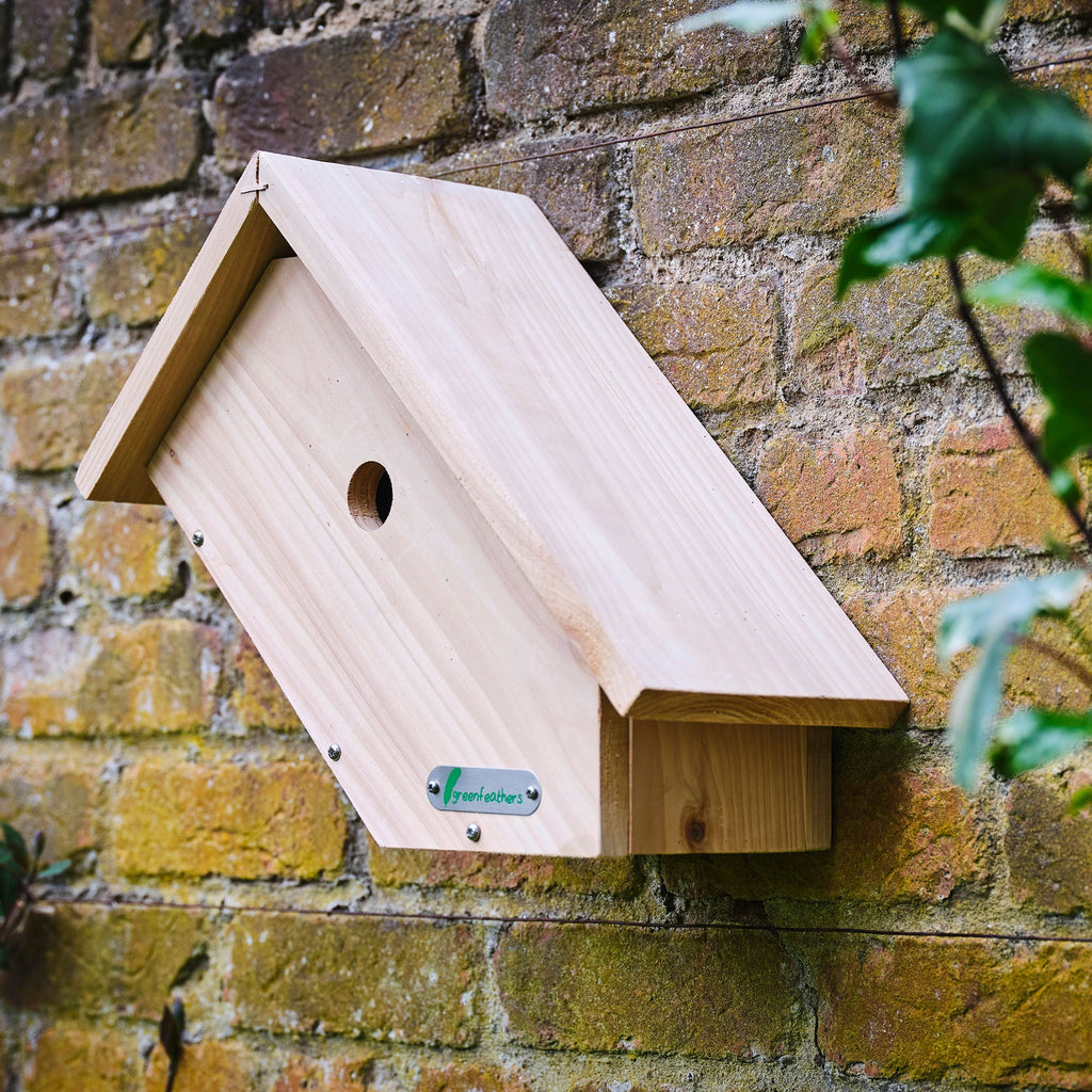 WiFi Side View Bird Box Camera Complete Pack