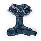 Tealing Smart Leather Dog Collar