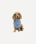 Blue Cashmere Plain Dog Jumper