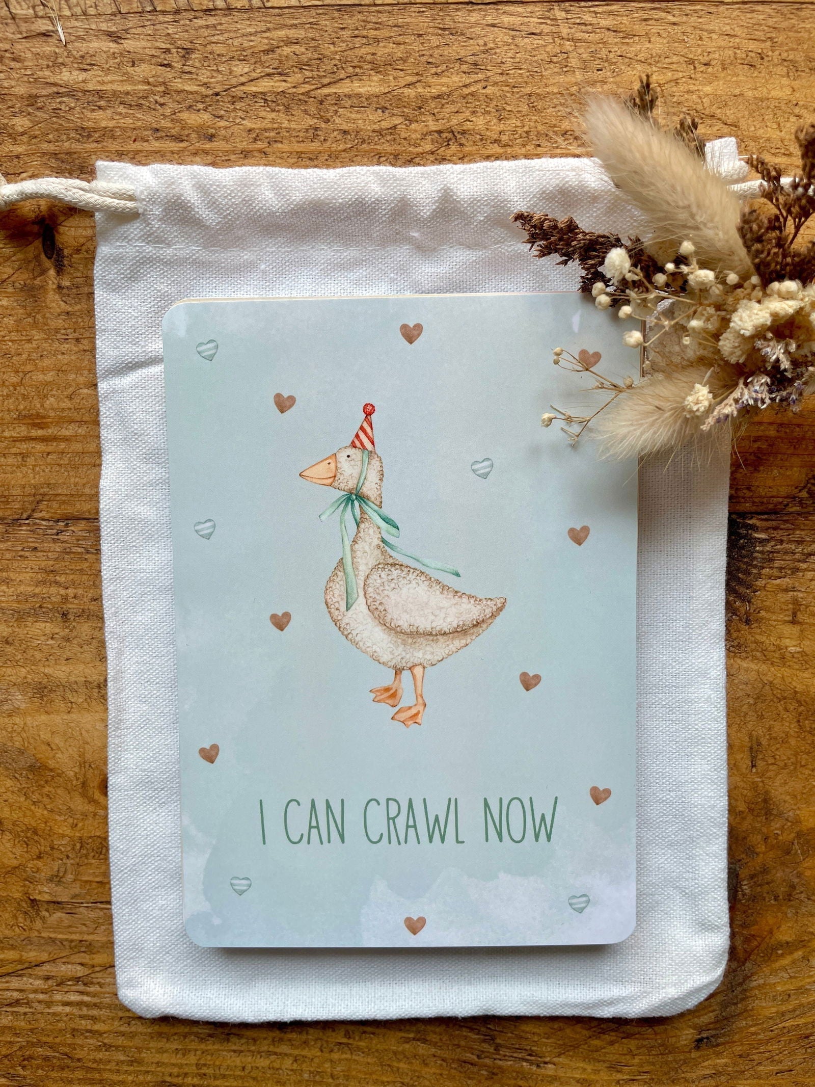 Baby Milestone Cards