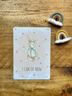 Baby Milestone Cards