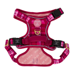Rose Berry Plaid Dog Collar + Tag Holder