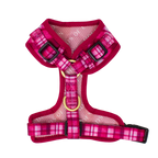 Rose Berry Plaid Dog Collar + Tag Holder