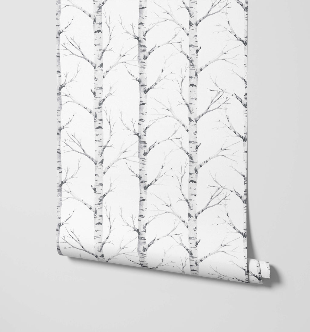 Birch