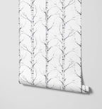 Birch