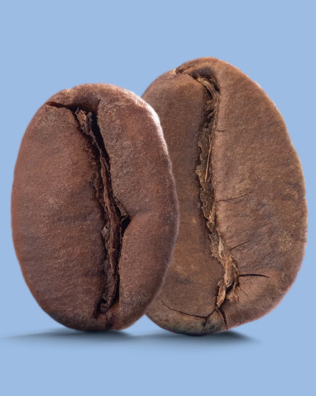 Aire Street Blend