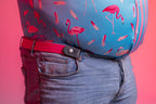 Buckle-Free Belt Bear Belts × Dandy