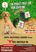 Buffalo Horn-Large (6-8 inch)-Dog Treats