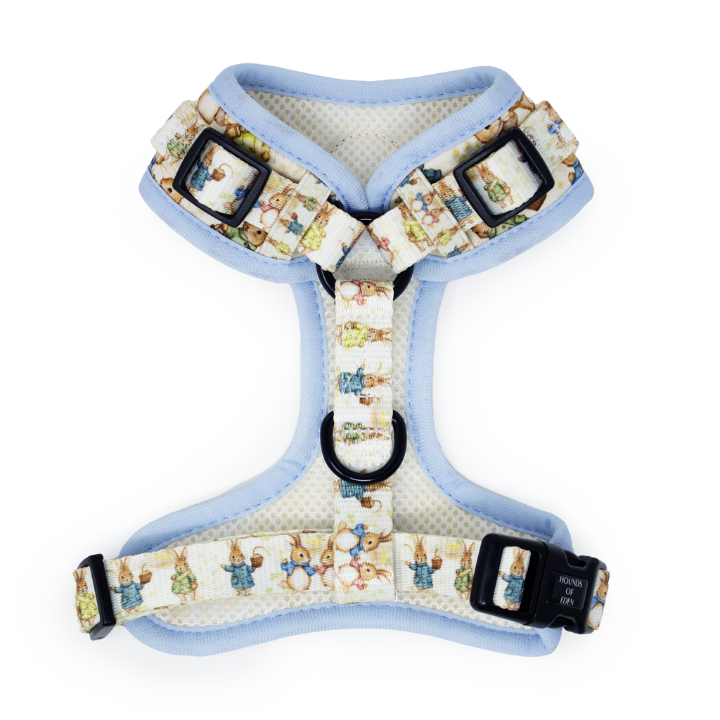 Bunny Tales - Blue, Dog Harness (XXS-XS)