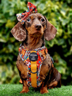 Retro Bloom Dog Supaw Strong Lite™ Harness (XS-XL)