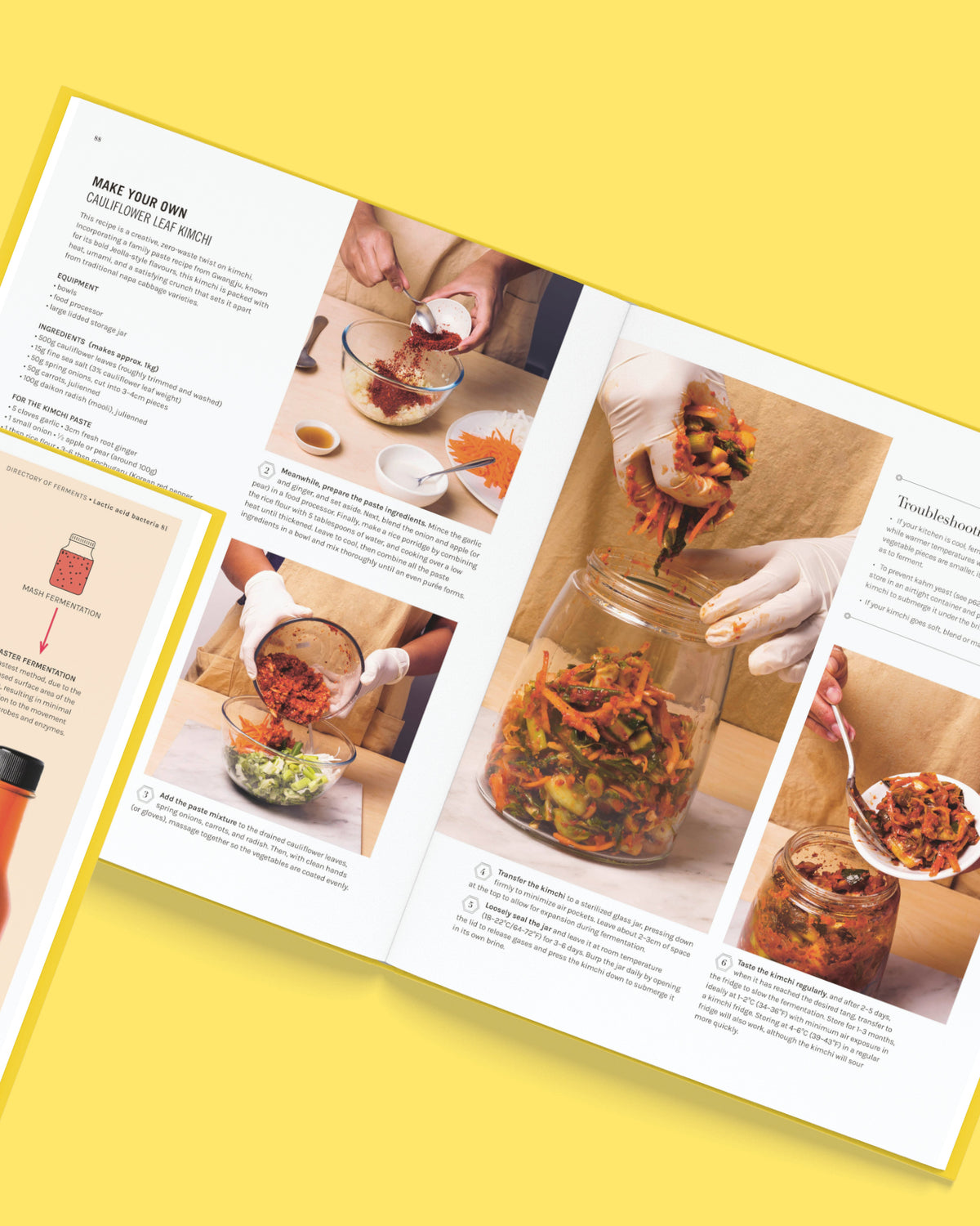 The Science of Fermentation