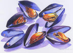 "Mussels" Watercolour Print