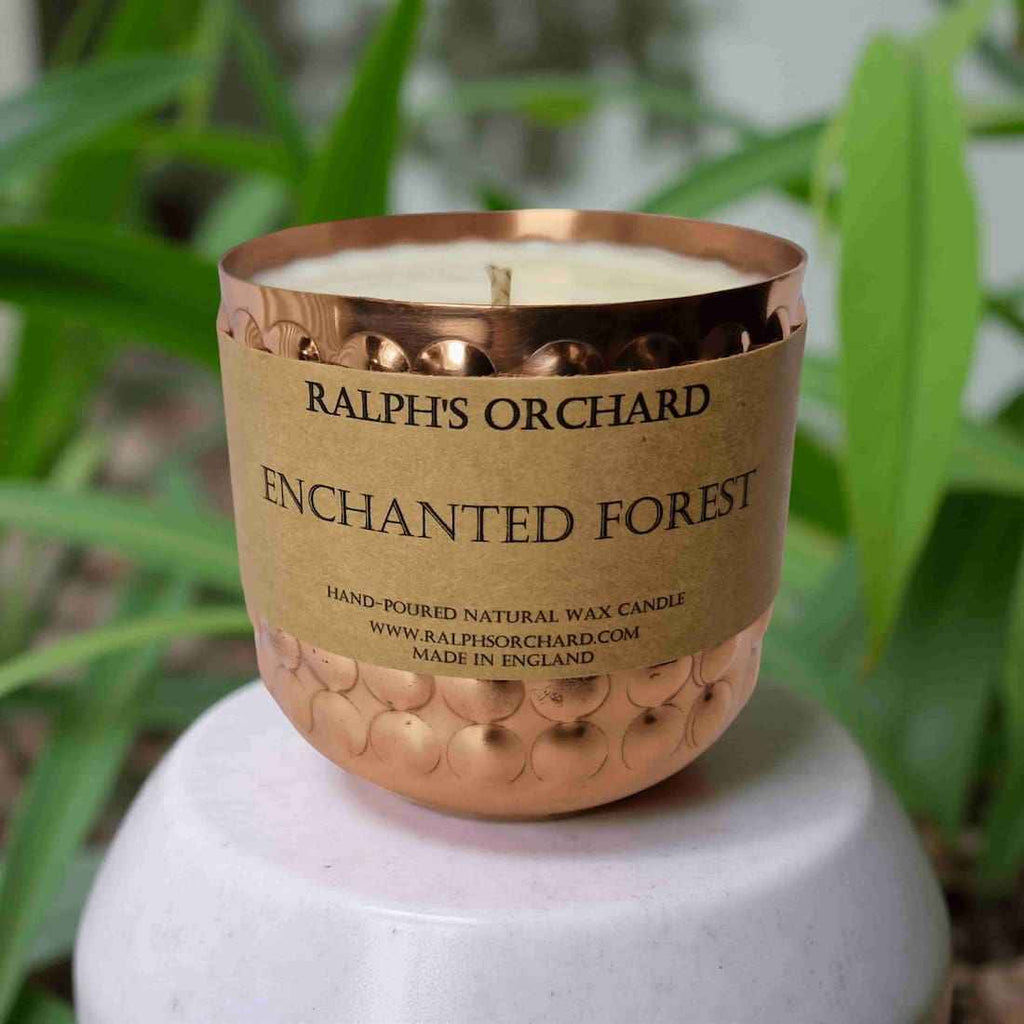 Enchanted Forest (Pine)