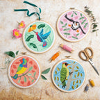 Rainbow Finch Cross Stitch Kit for Beginners