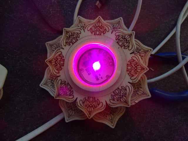 Lotus Design Multi Coloured Base For Crystals, Ornaments (USB)