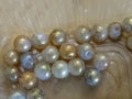Golden Khaki 8mm glass crackle beads