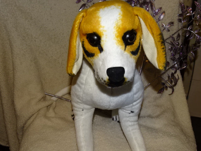 Cute Beagle Dog Plush Figure. Approx 60cm L (Plus Tail) x 30 H cm x 15cm W