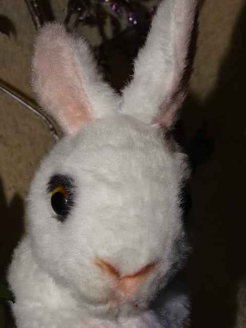 Cute Lifelike Soft Toy White Plush Rabbit    24cm (approx)