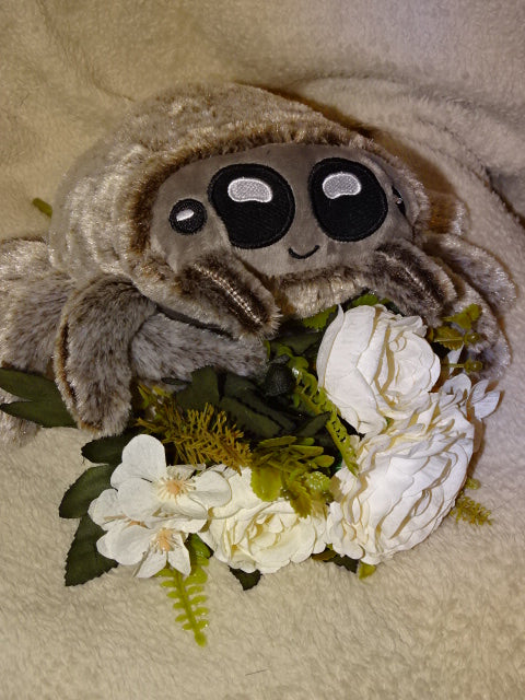 Cute Friendly Plush Spider Soft Toy  16cm x 26cm (approx)
