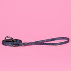 The Willow Lead