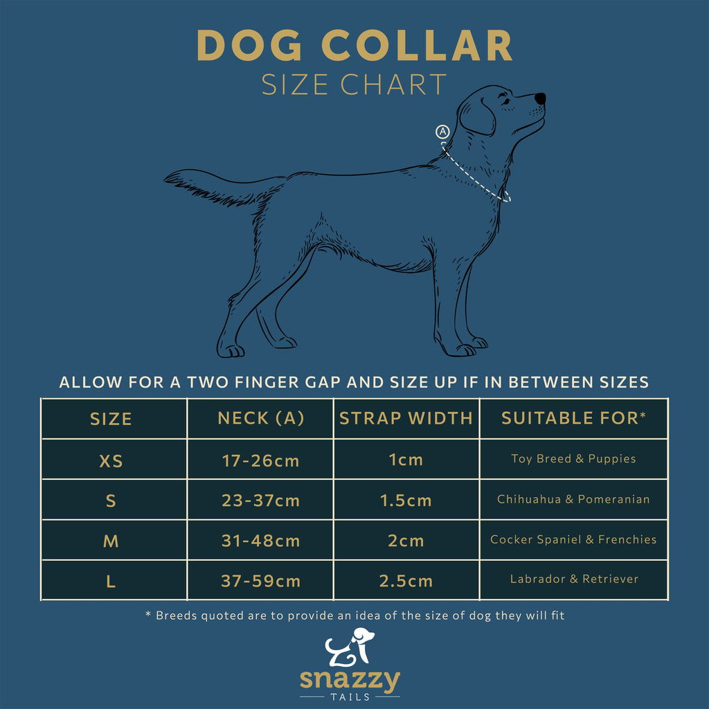 The Luna Dog Collar