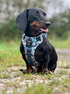 Tealing Smart Leather Dog Collar