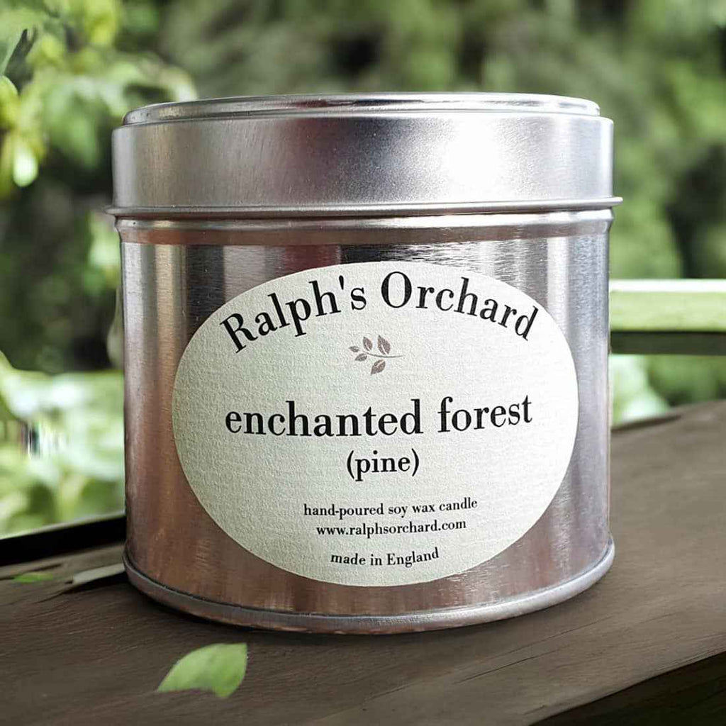 Enchanted Forest (Pine)