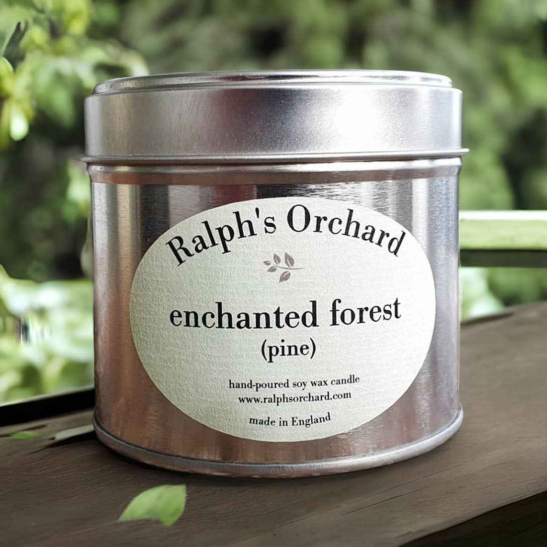 Enchanted Forest (Pine)