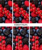 Flava Speed Car Air Freshener - Forest Fruits