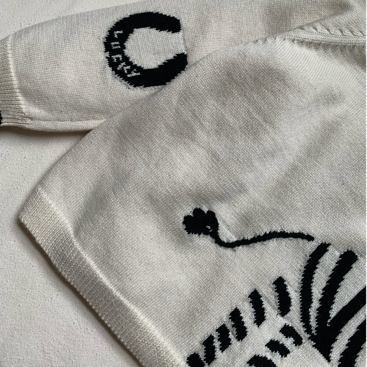Lucky Zebra Jumper