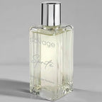 Flava Spritz Fragrance For Men - Savage