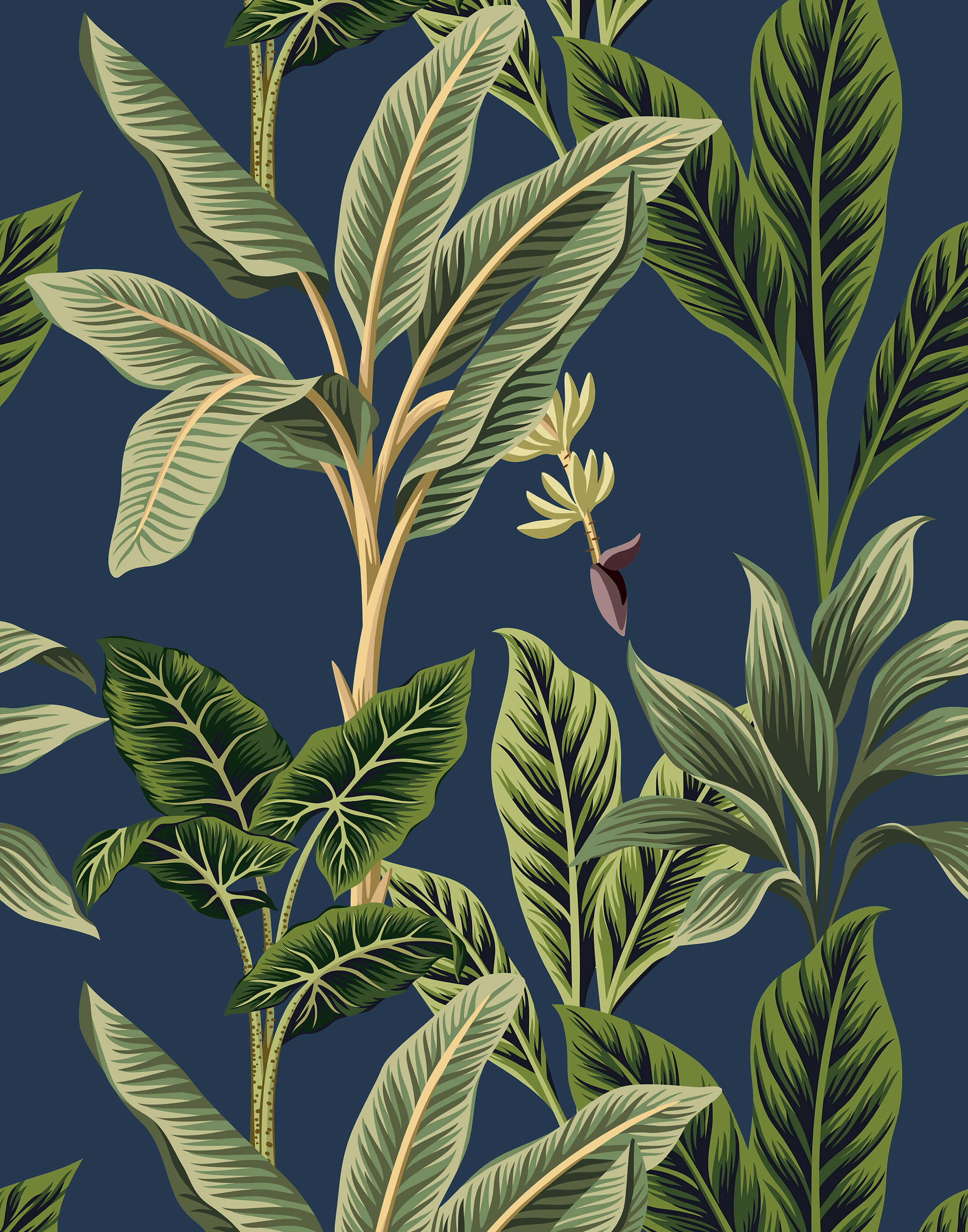 Flora