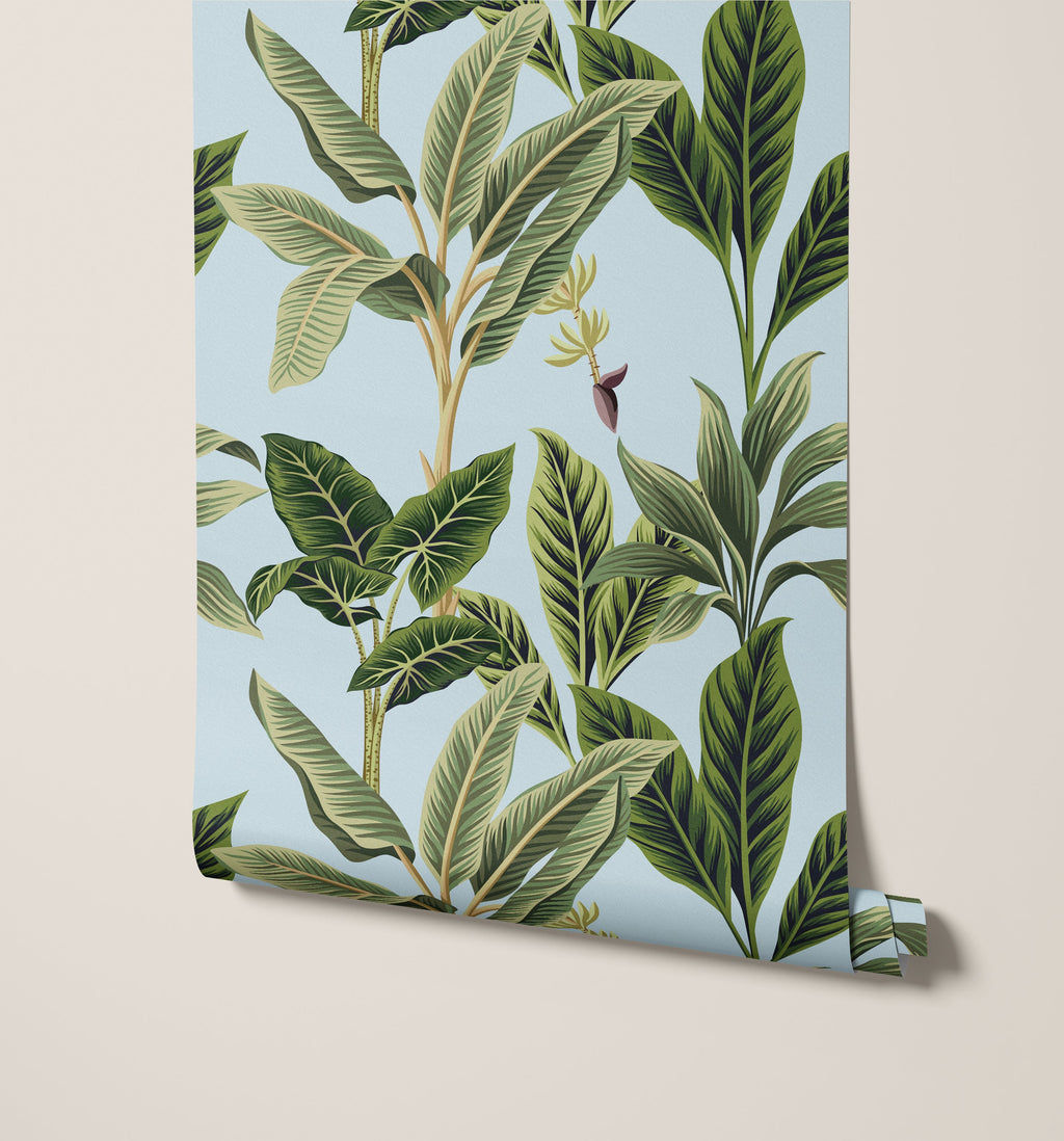 Flora