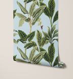 Flora