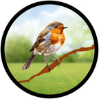 Robin Garden Mirror