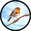 Robin Garden Mirror