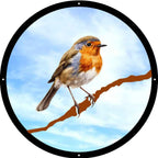 Robin Garden Mirror