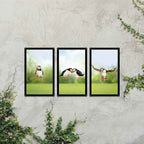 Puffin Parade Mirror Set
