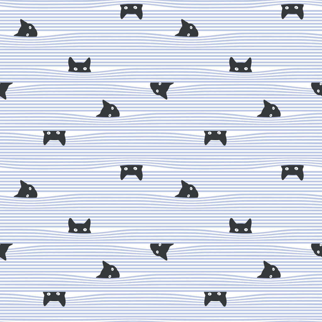 Gato