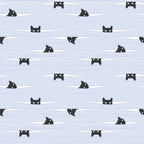 Gato