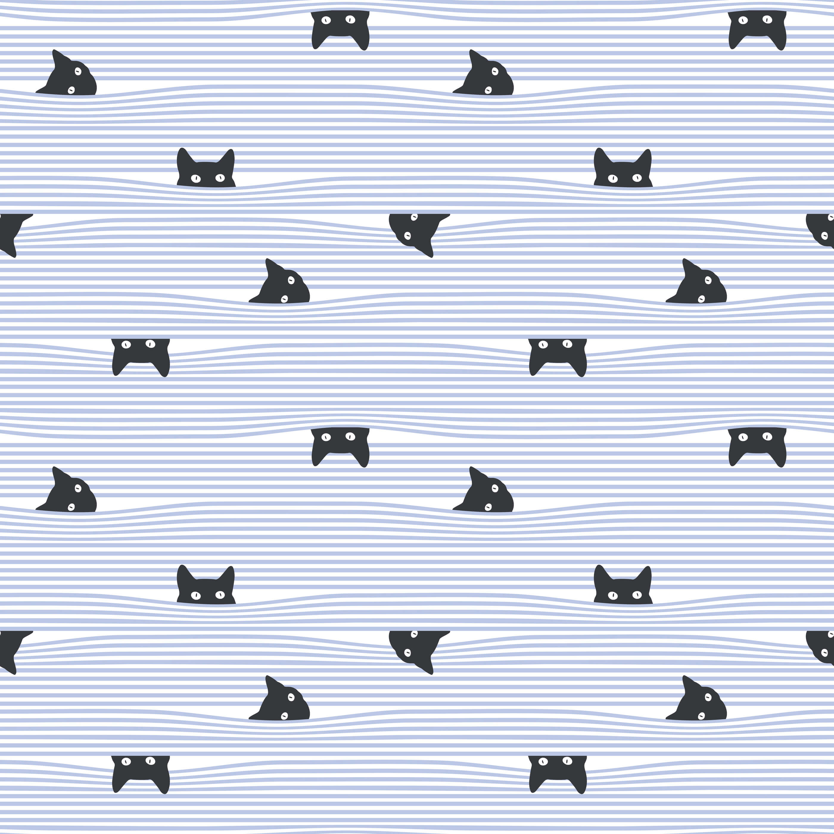 Gato