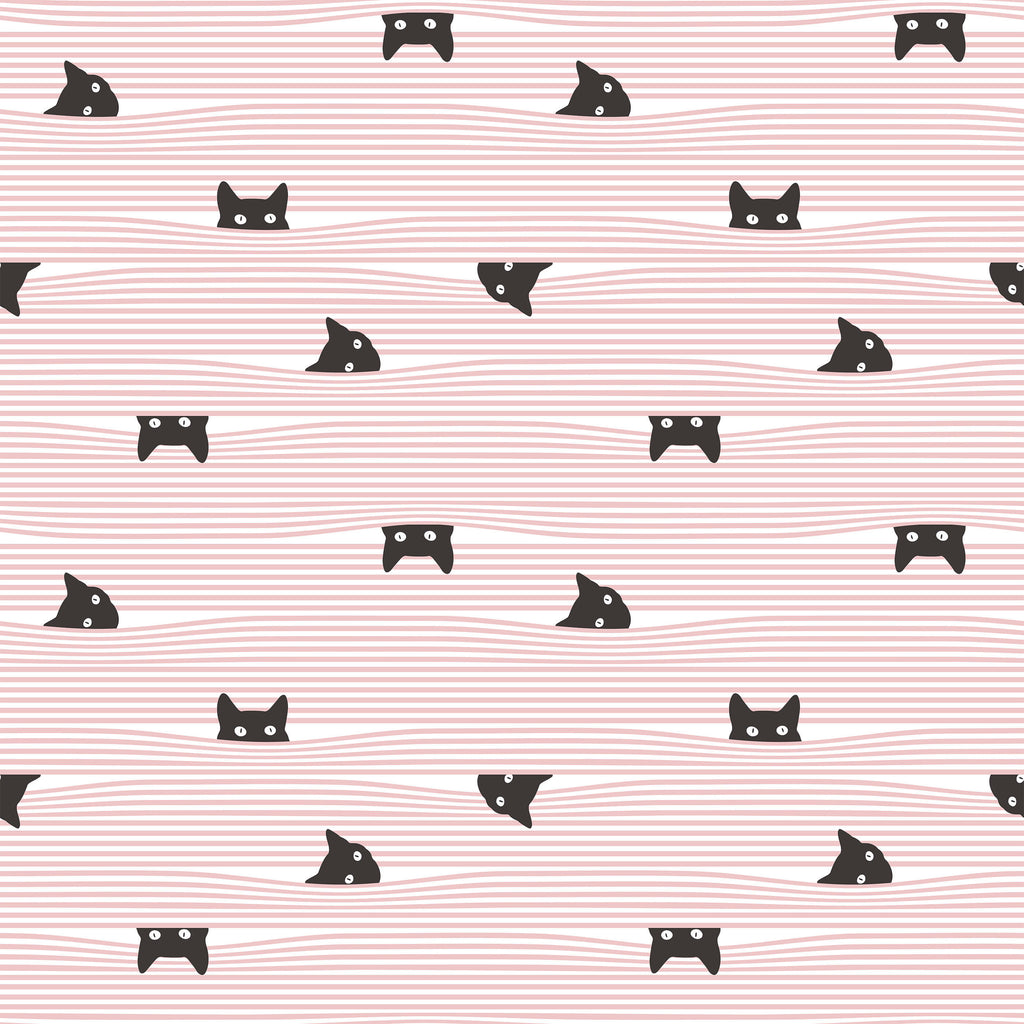 Gato