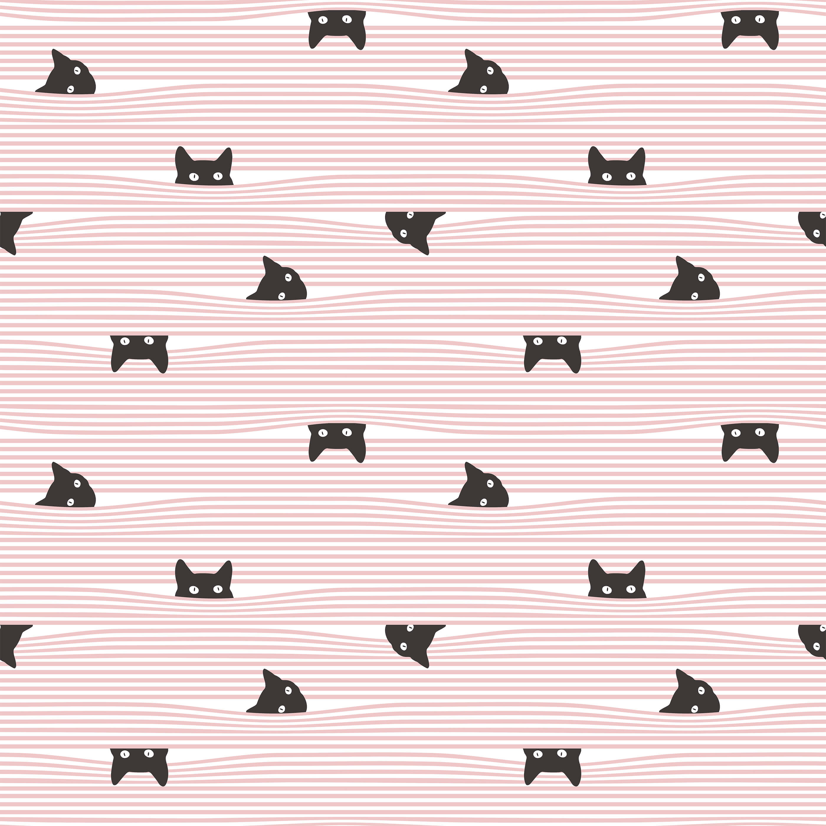 Gato