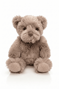COZY Teddy Bear Super Soft Cuddly