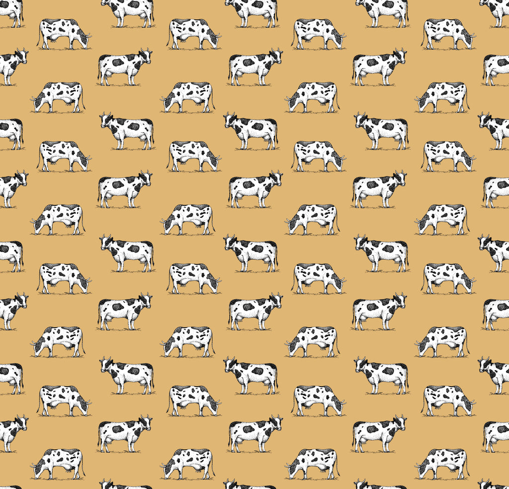 Graze