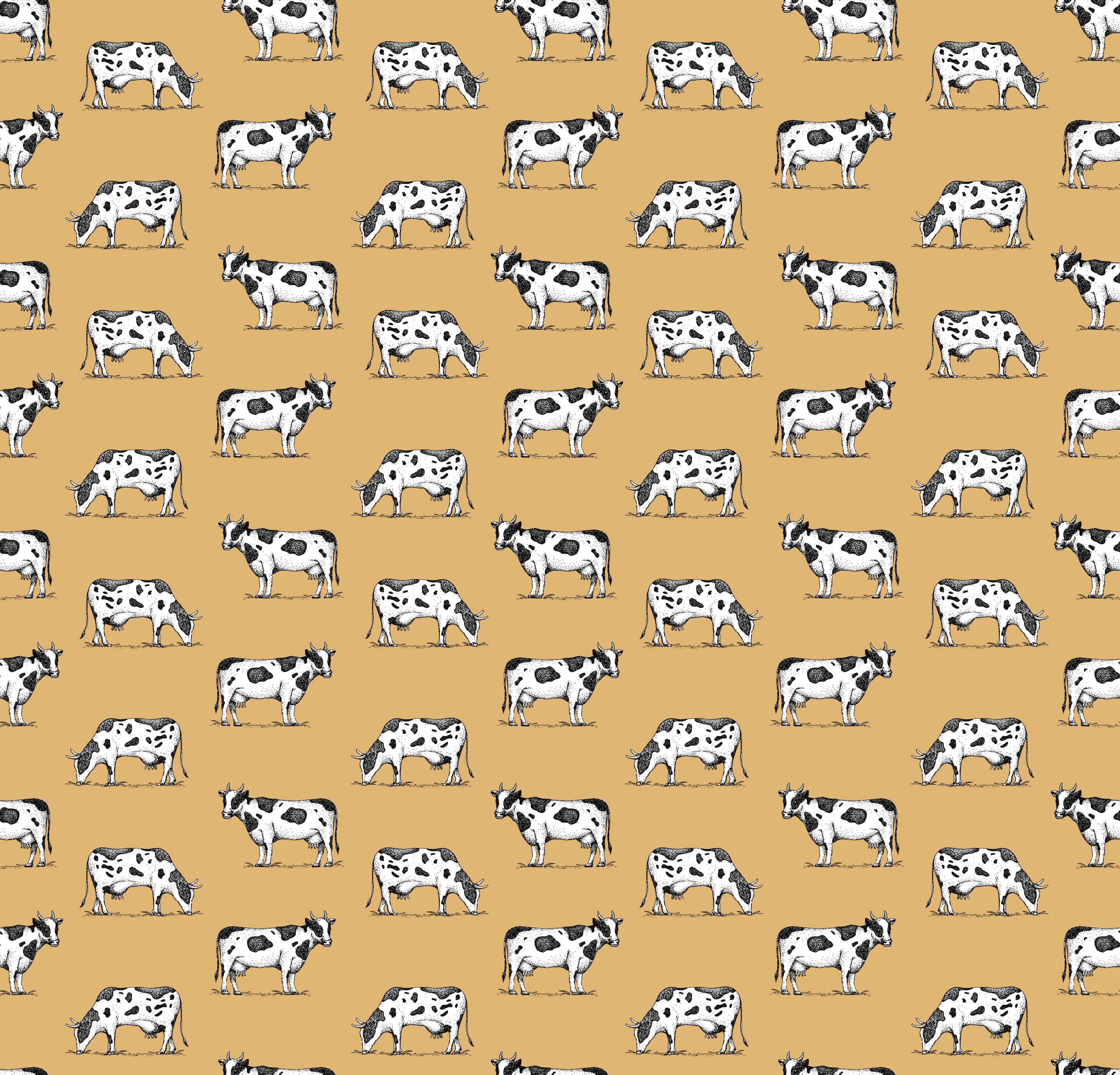 Graze