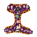 Harry Pawter Design Dog Harness