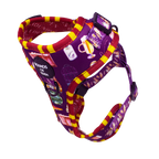 Harry Pawter Design Dog Harness