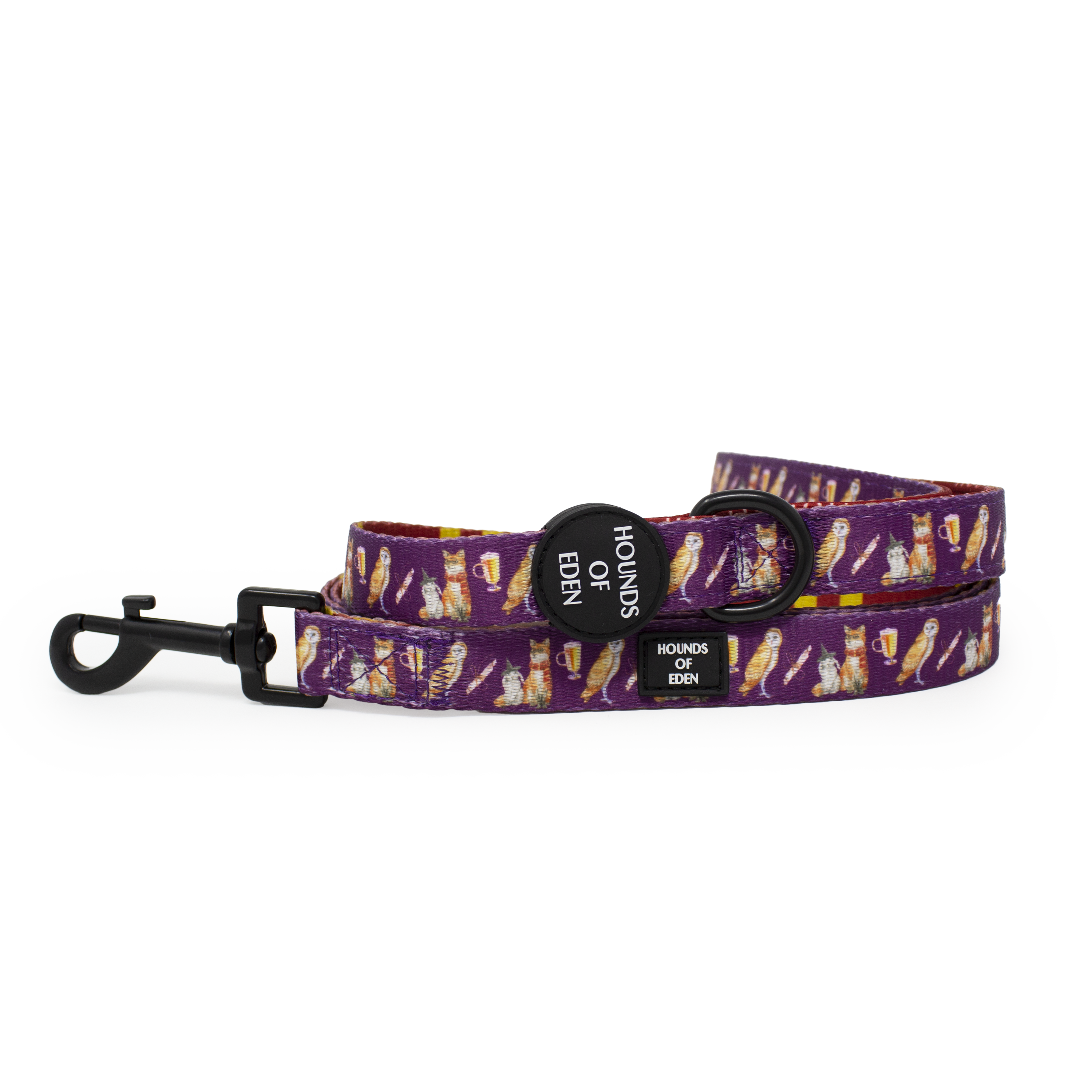 Harry Pawter Design Dog Collar